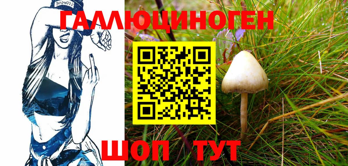 Галлюциногенные грибы Psilocybine cubensis  Вход с VPN  Советская Гавань 